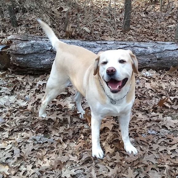 Meet your Posher, Becky - Picture 1 of 1